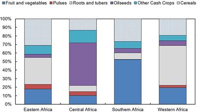 Field phenotyping for African crops: overview and perspectives